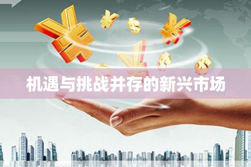 永年机遇与挑战并存的新兴市场
