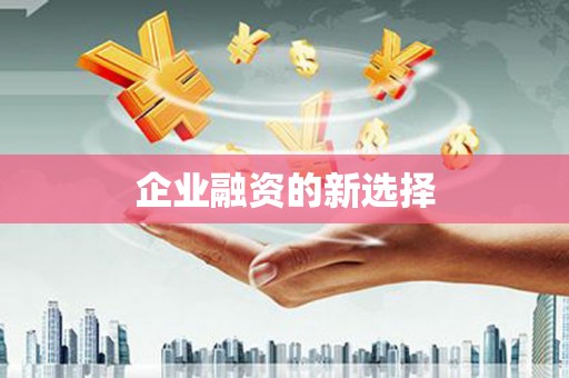 永年企业融资的新选择