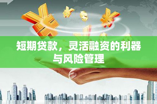 永年短期贷款，灵活融资的利器与风险管理