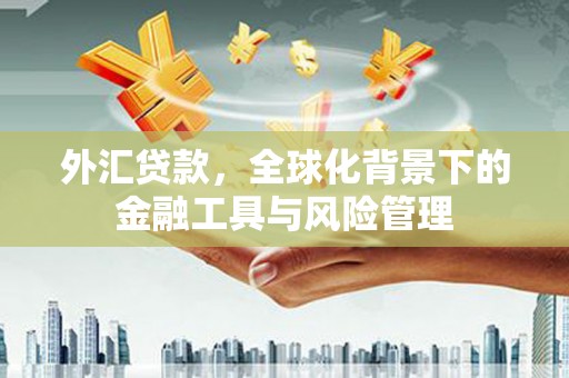 永年外汇贷款，全球化背景下的金融工具与风险管理