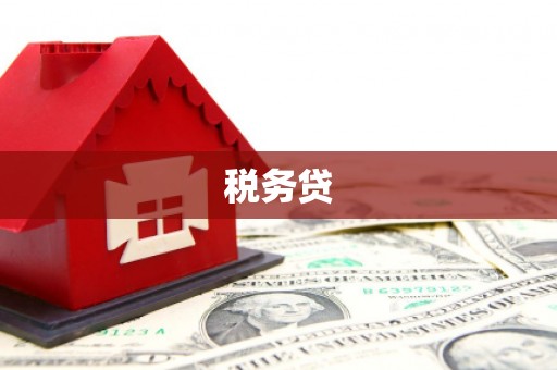 永年税务贷