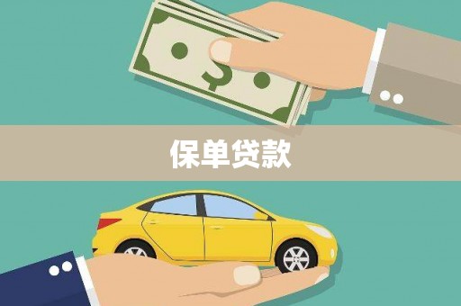 永年保单贷款 永年保单贷款